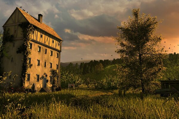 House on the background of sunset in green grass