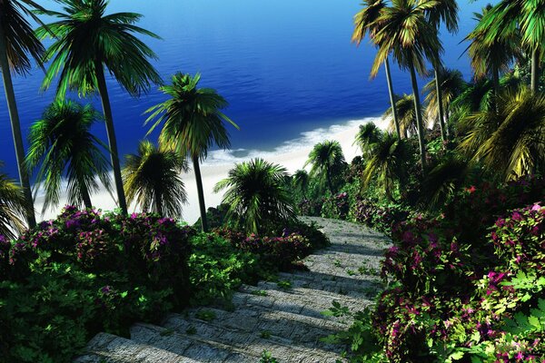 Palm trees in the tropics against a background of colorful greenery