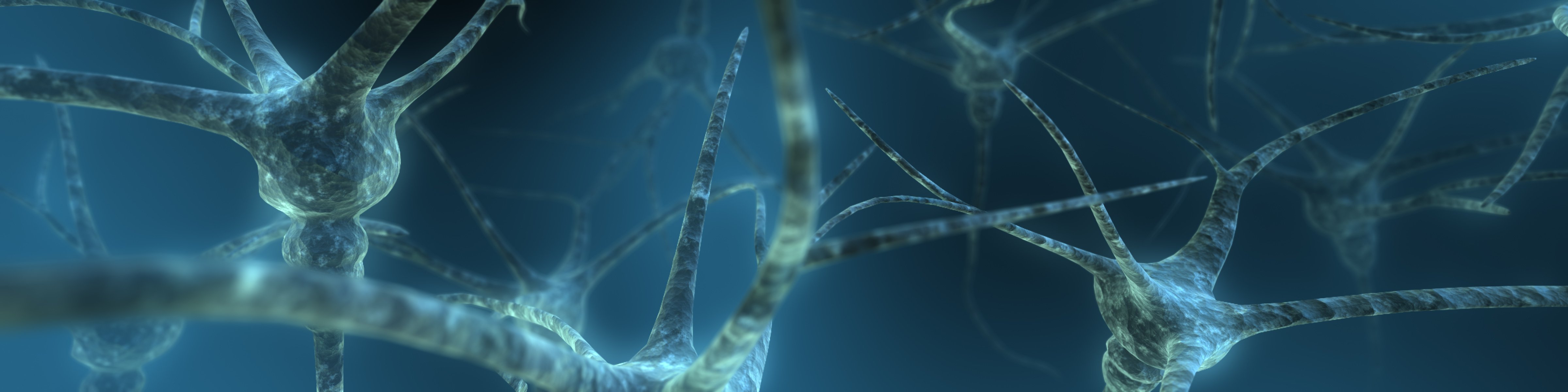 neurons network circuit communication