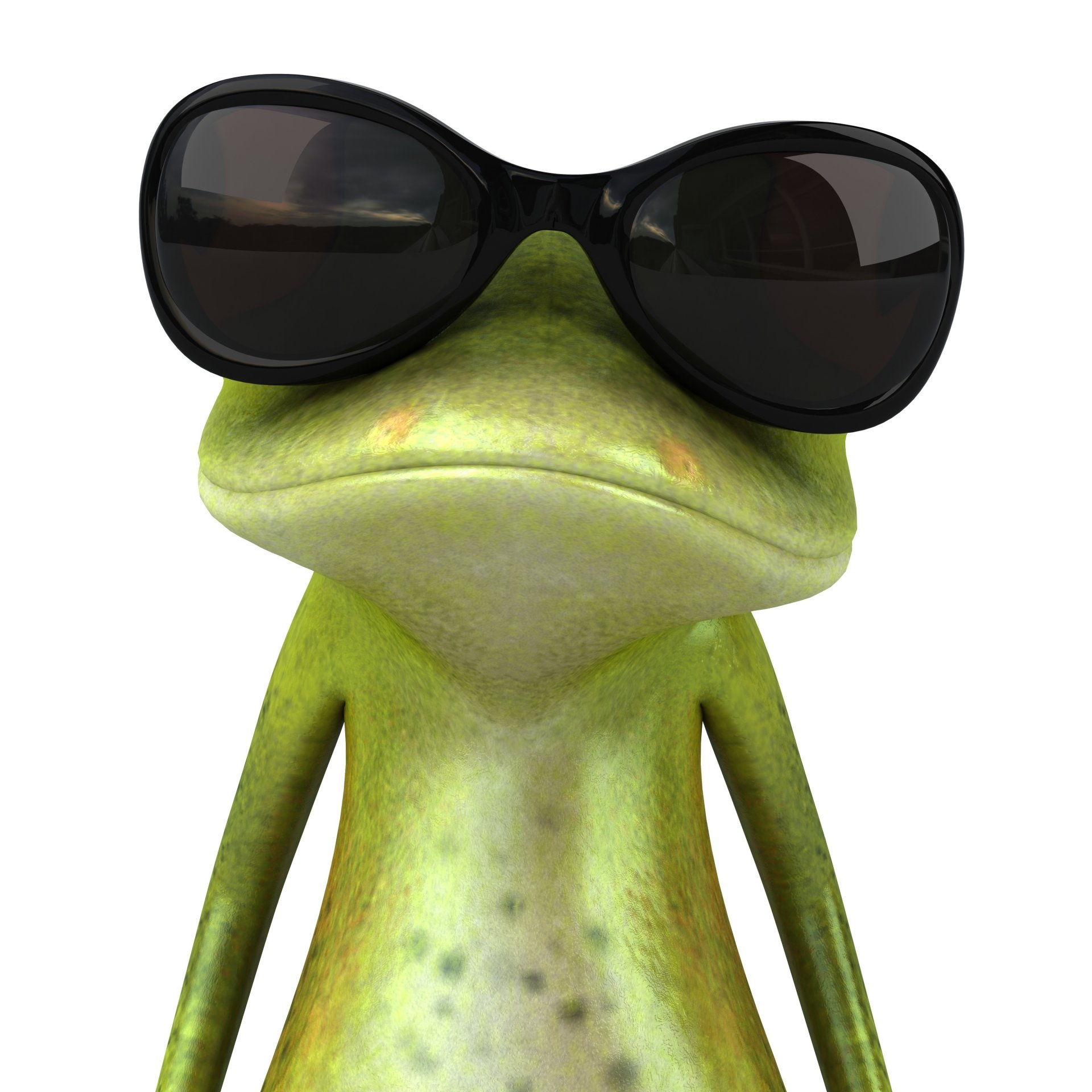 frog sunglasses the slope of the