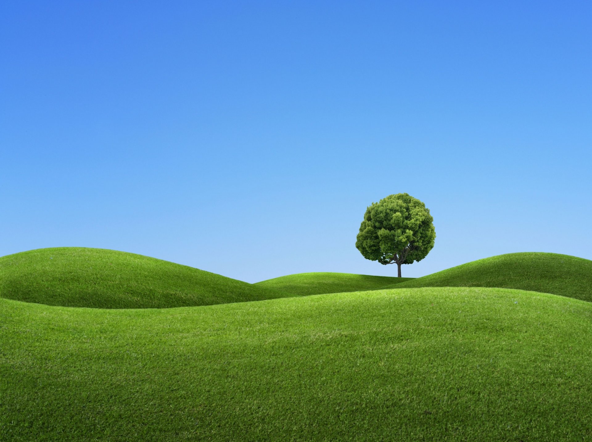 himmel landschaft baum hügel