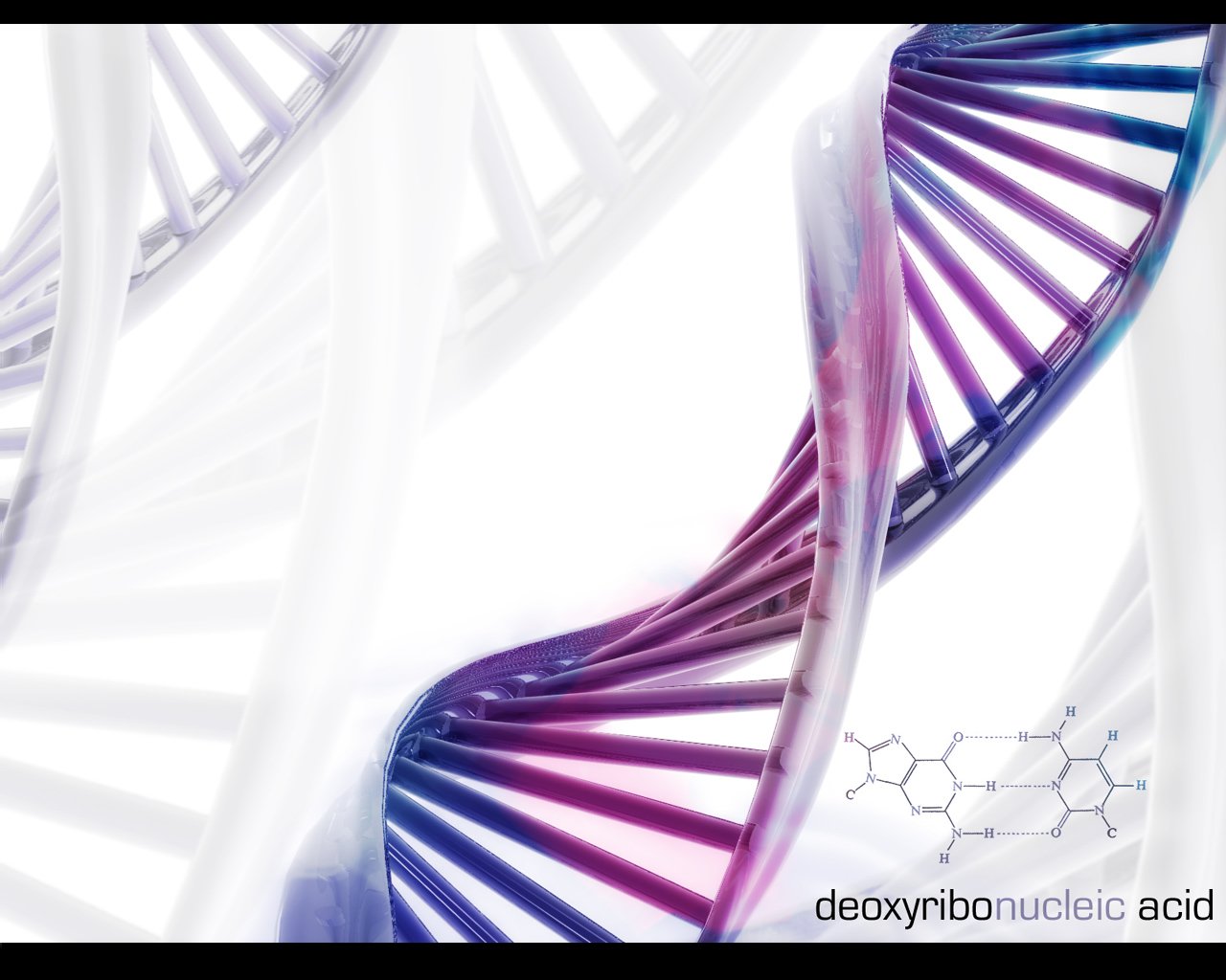 dna formuła nauka