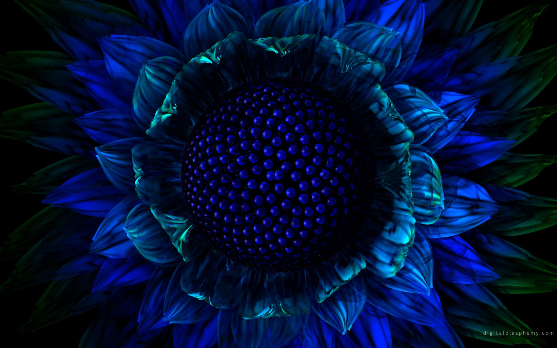 flor azul gráficos