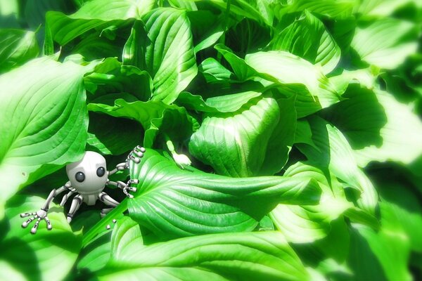 Drôle скелетик dans l herbe verte