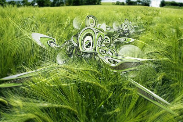 Grüne Ährchen im Feld mit Mustern