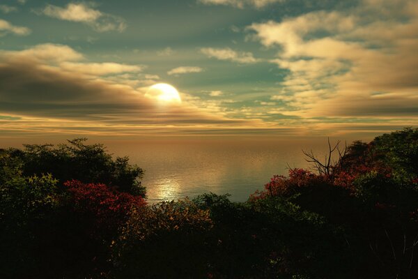 Arbustos con flores en la costa junto al mar con el sol que se pone detrás de las nubes