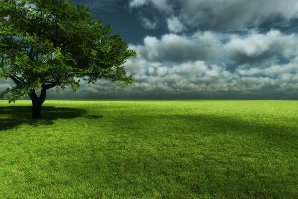 Tempo nuvoloso in un campo verde con un albero