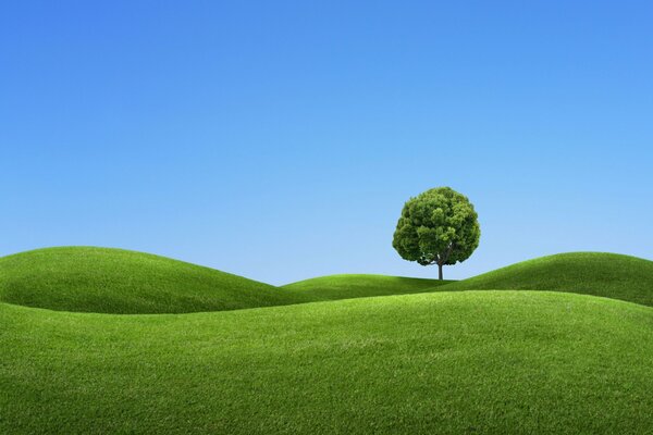 Albero verde su colline verdi ondulate su sfondo blu