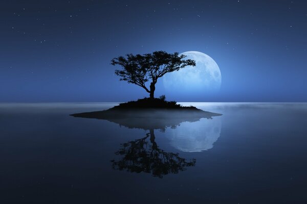 A lonely tree under the moon