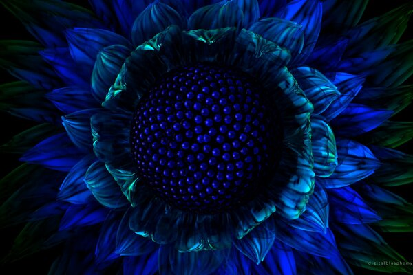 Le graphique de bleu fleur