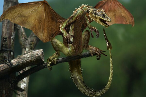 A hissing little green dragon with its tail raised