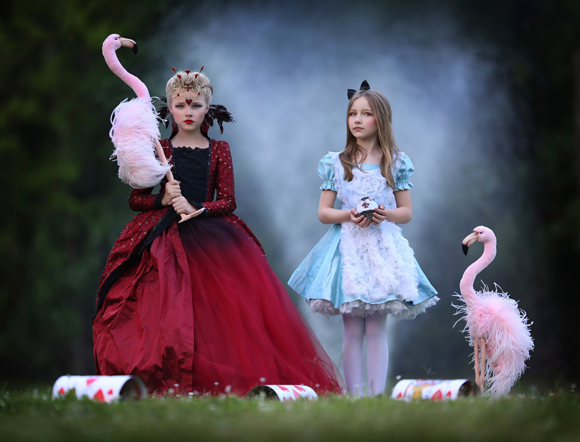 les flamants roses les filles les oiseaux