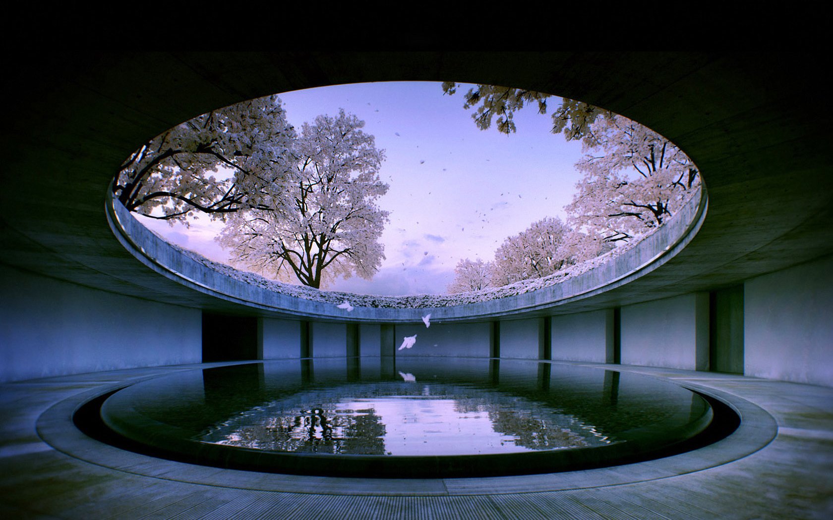 wasser gebäude natur sakura