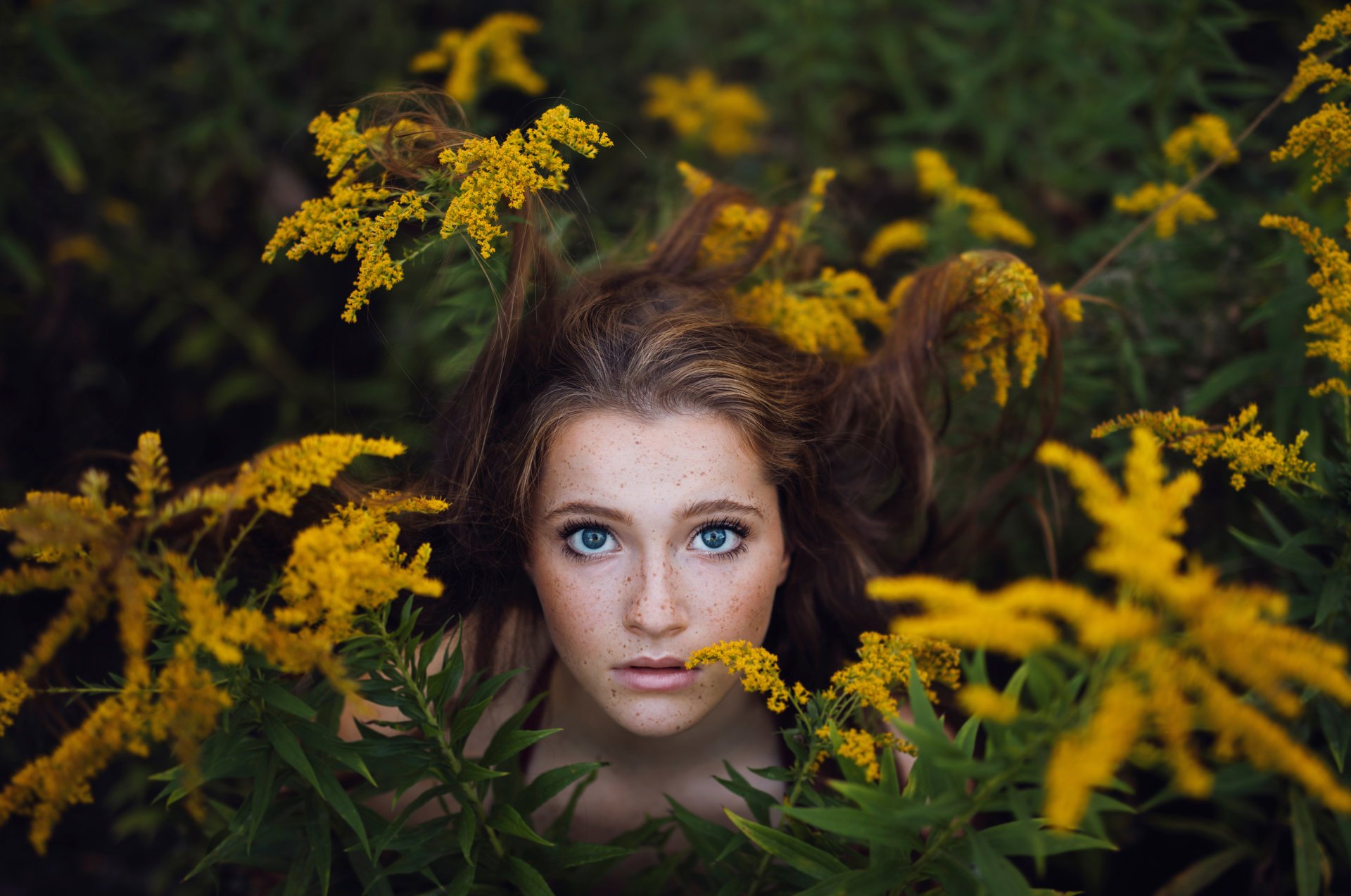 ailish hide and seek girl freckles thickets mimosa bokeh jesse herzog