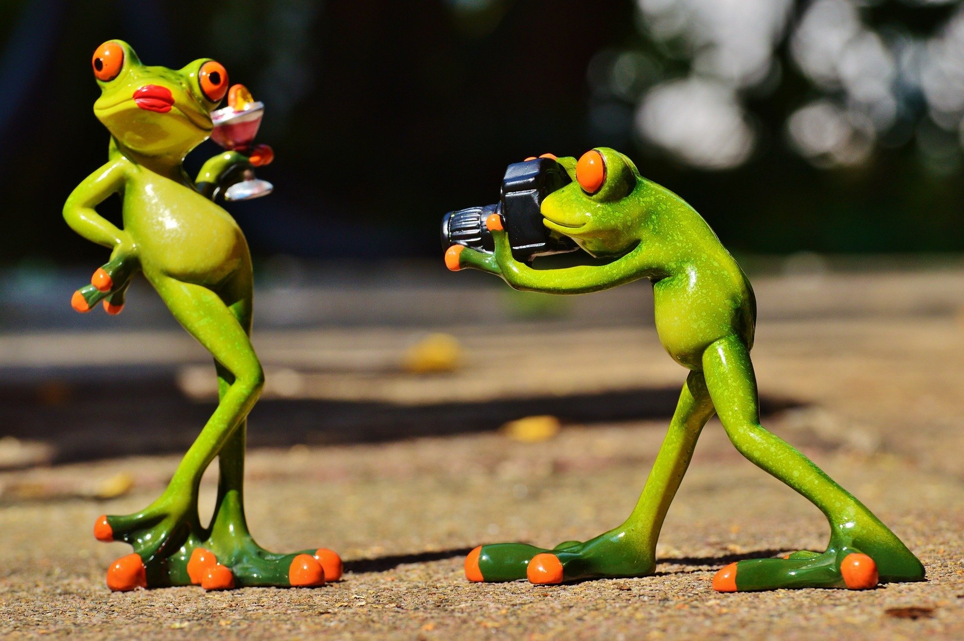 rana ranas juguetes figuras de acción fotógrafo modelo modelo de la foto señora posando cámara instantánea