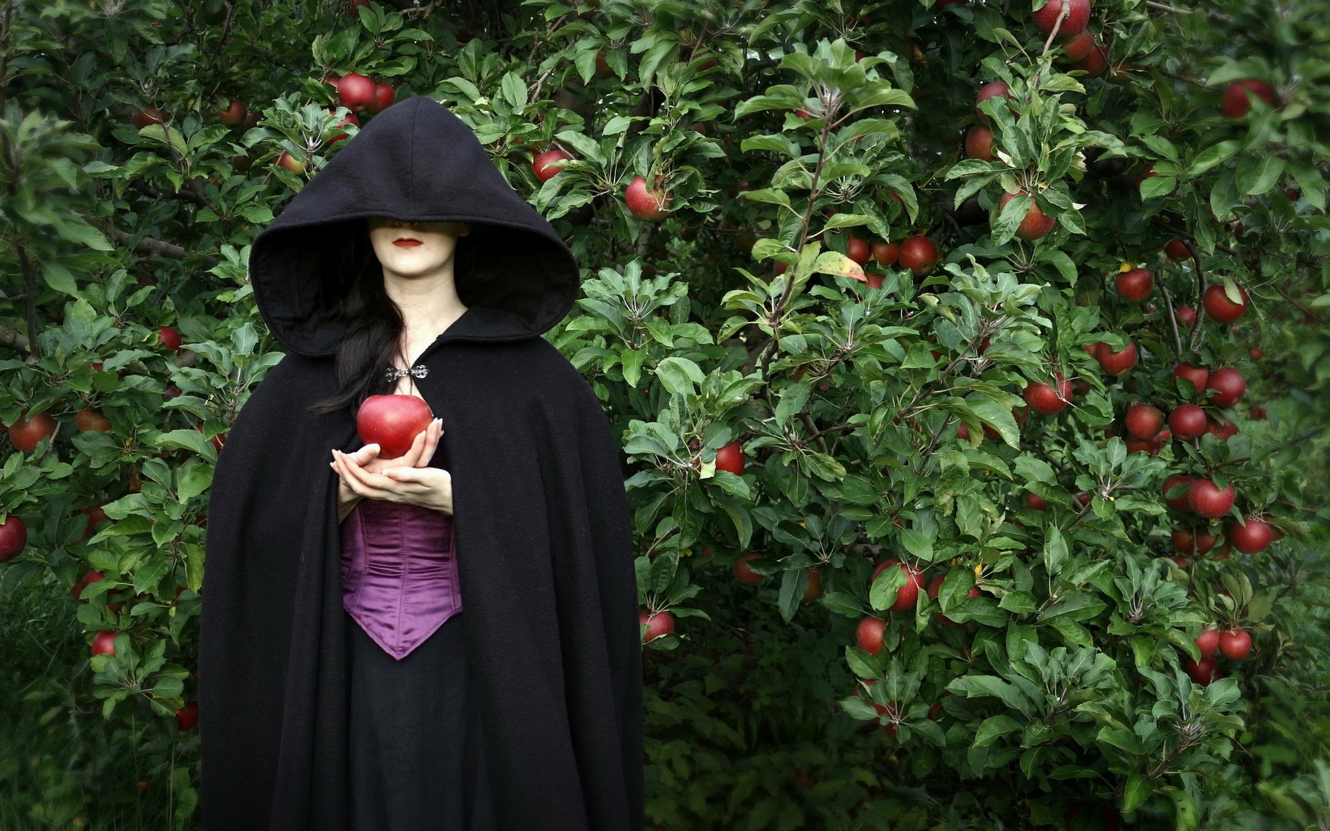 la jeune fille les pommes l arrière-plan