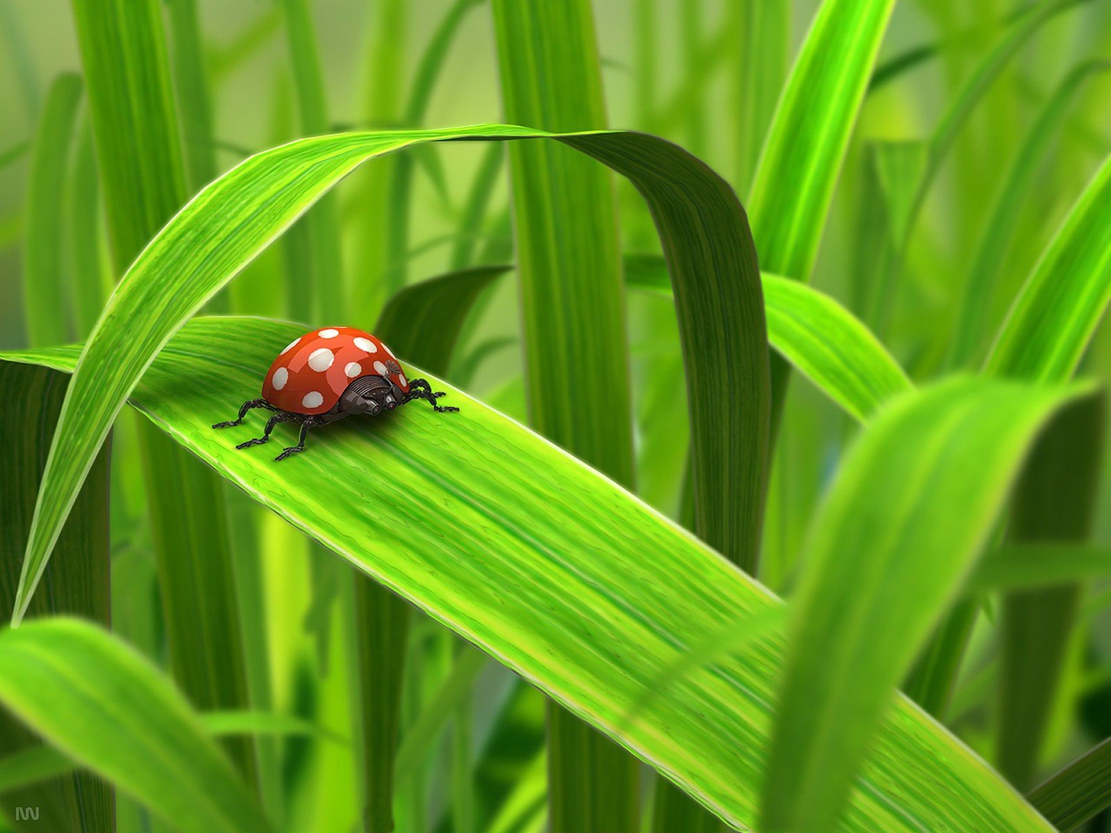 le robot coléoptère de la verdure