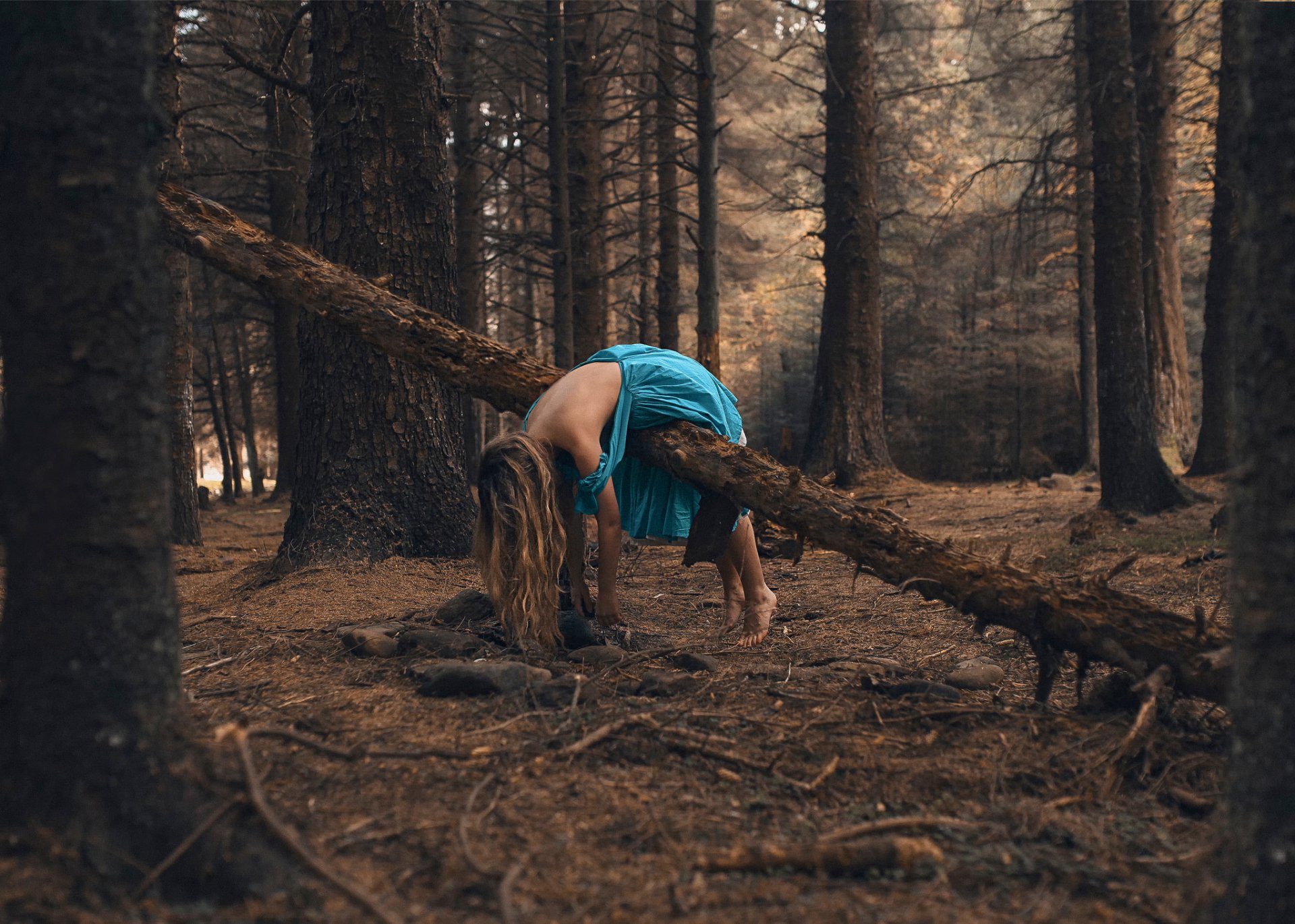 aspetta qui rosie hardy ragazza vestito foresta