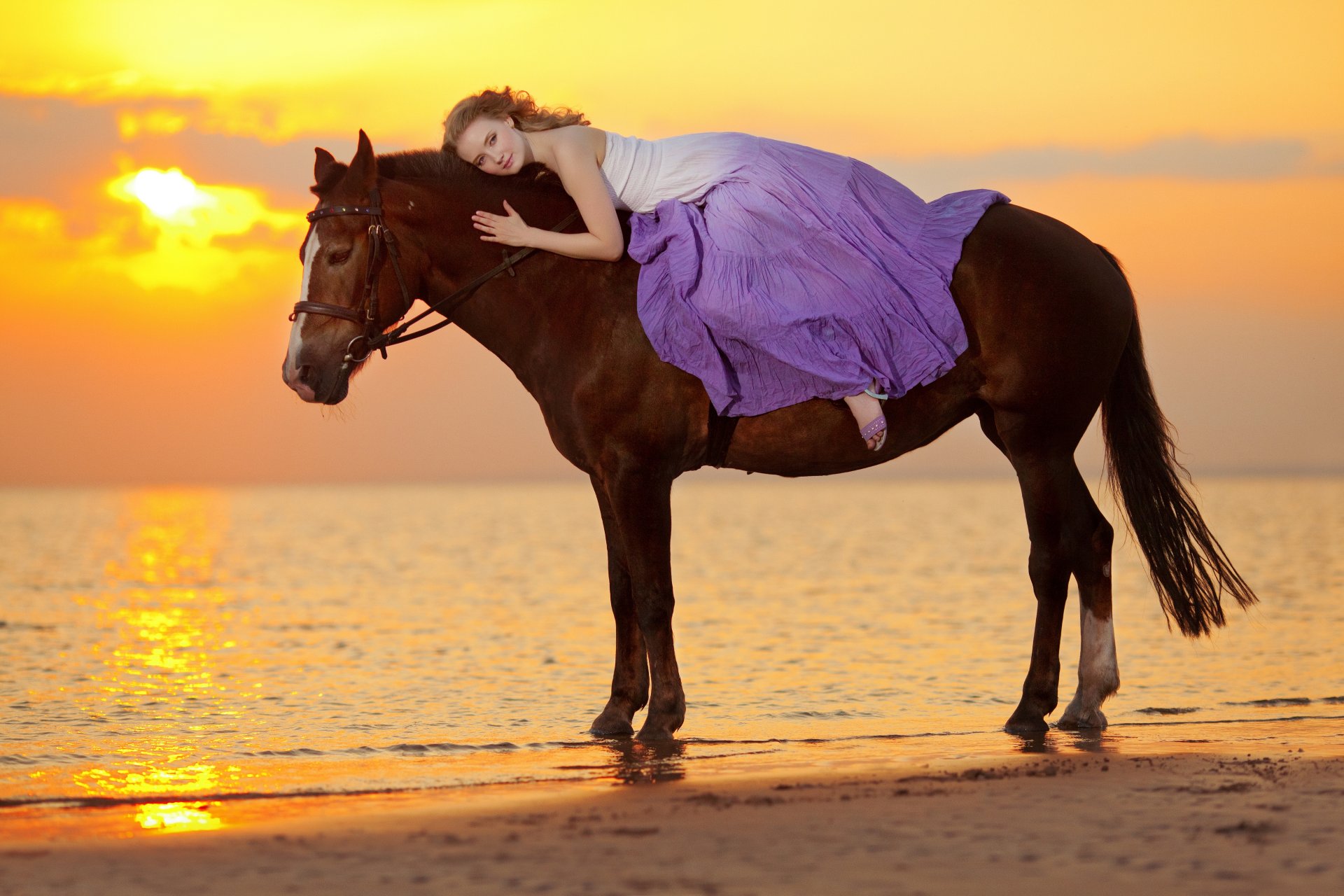 mare costa ragazza cavallo tramonto