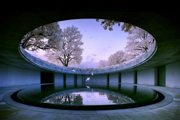 Open-air pond in the building