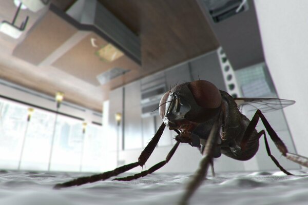 Foto macro de una mosca sentada en el techo de la cocina