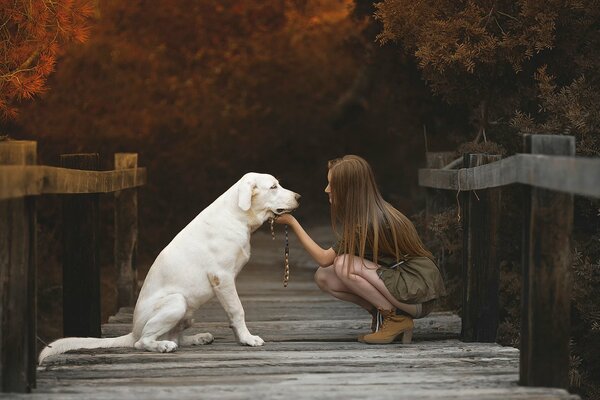 A girl and a dog are sitting on a bridge