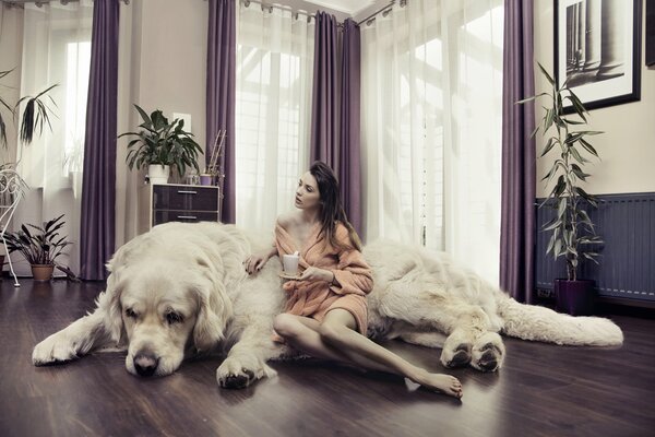 Foto creativa con ragazza e cane