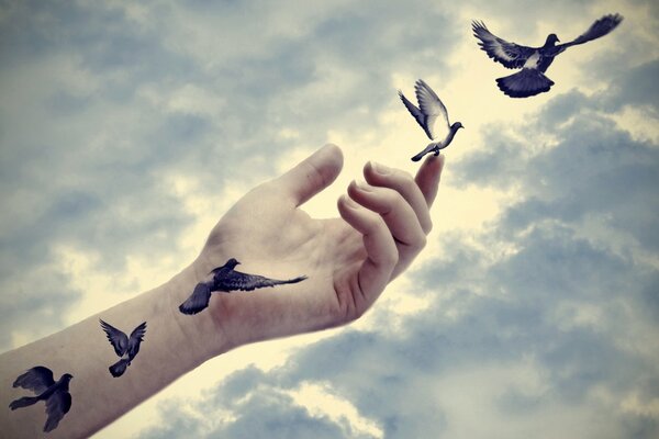 The hand that freed the birds