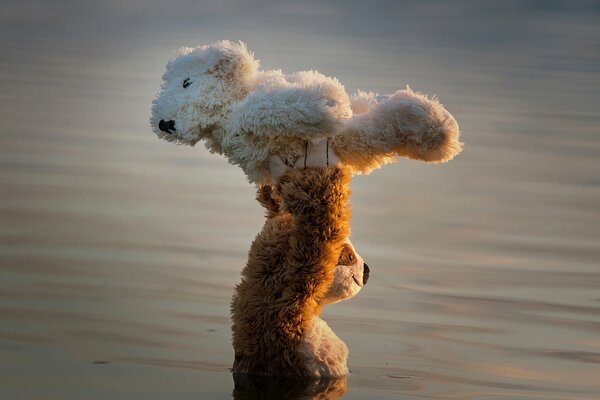 Ein Teddybär hebt den anderen auf die Pfoten