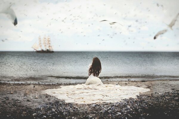 Solitaire le navire dans la mer , où volent les mouettes