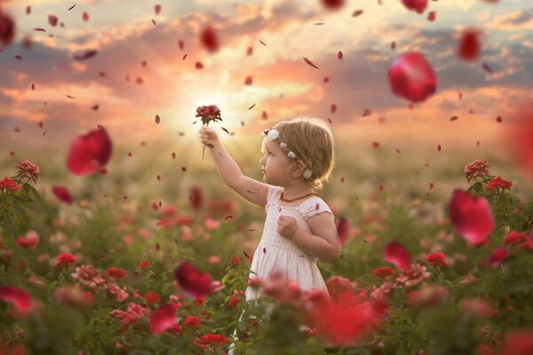 Niña en medio de rosas rojas