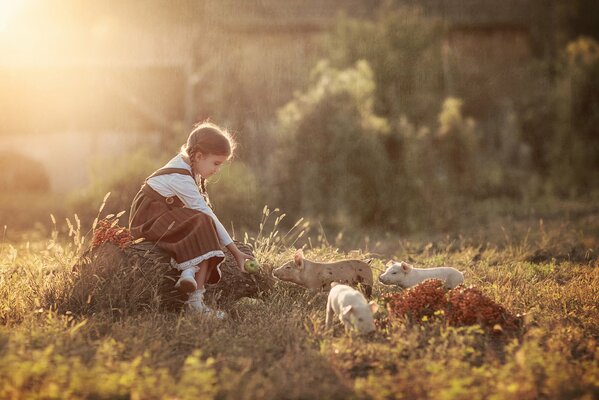 A girl in a meadow feeds piglets with an apple