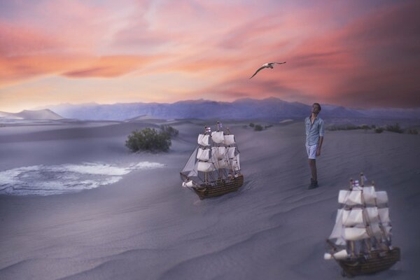 Ships in the desert man and bird