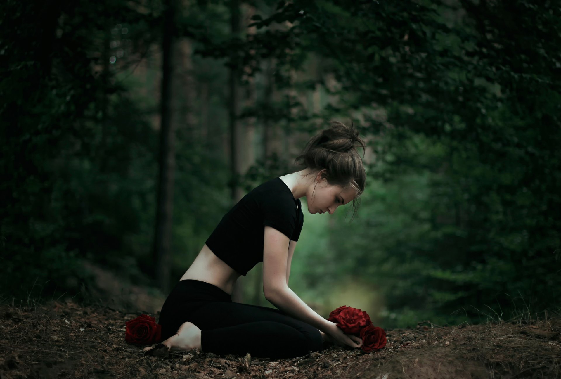 le cadeau de la jeune fille de la forêt des bourgeons des roses wiki