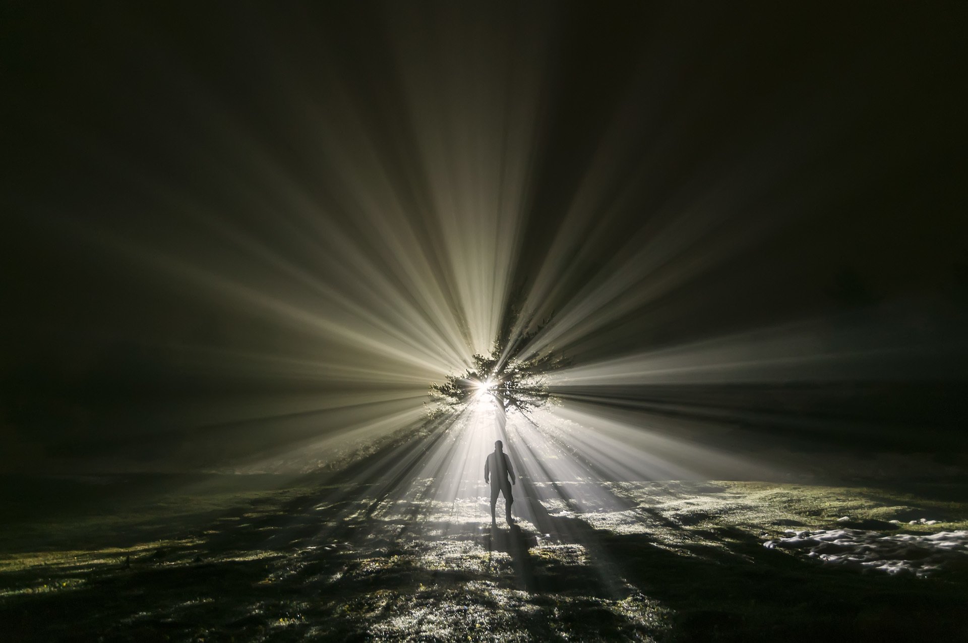 mann feld baum abend mystik licht strahlen