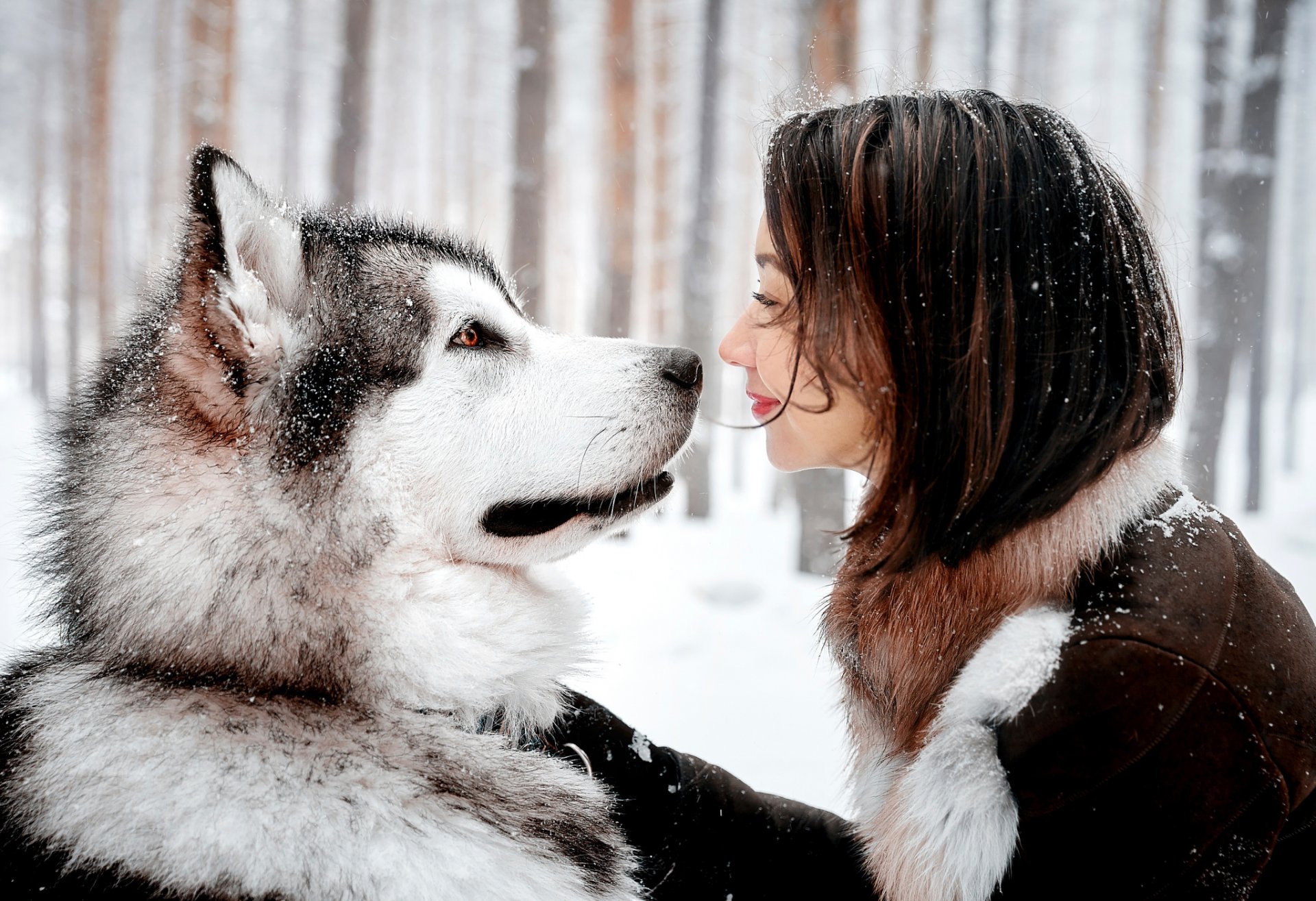 la jeune fille le chien la neige le regard le sourire