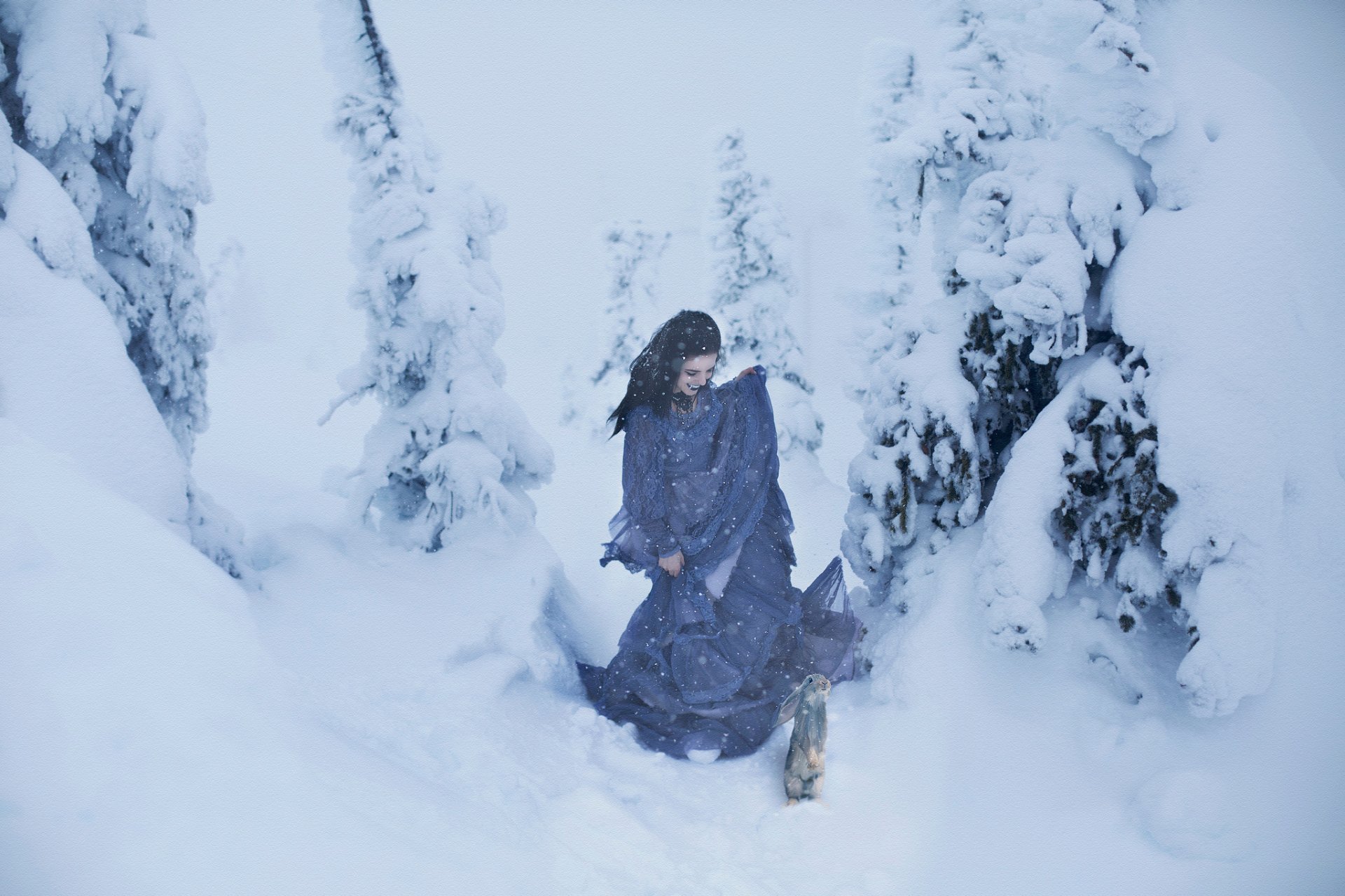 lichon la jeune fille la neige le lièvre