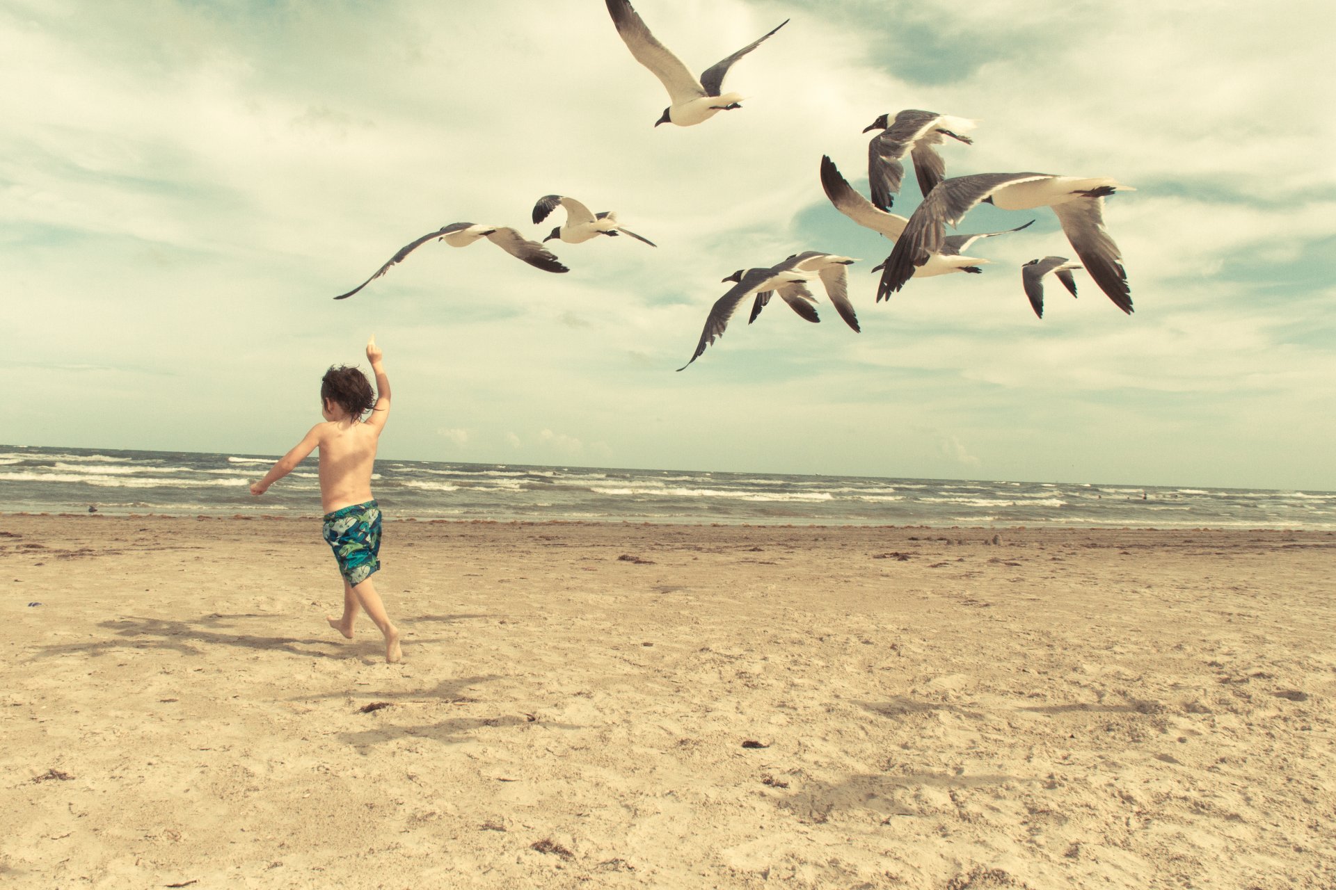 l enfant la mouette la plage les vagues