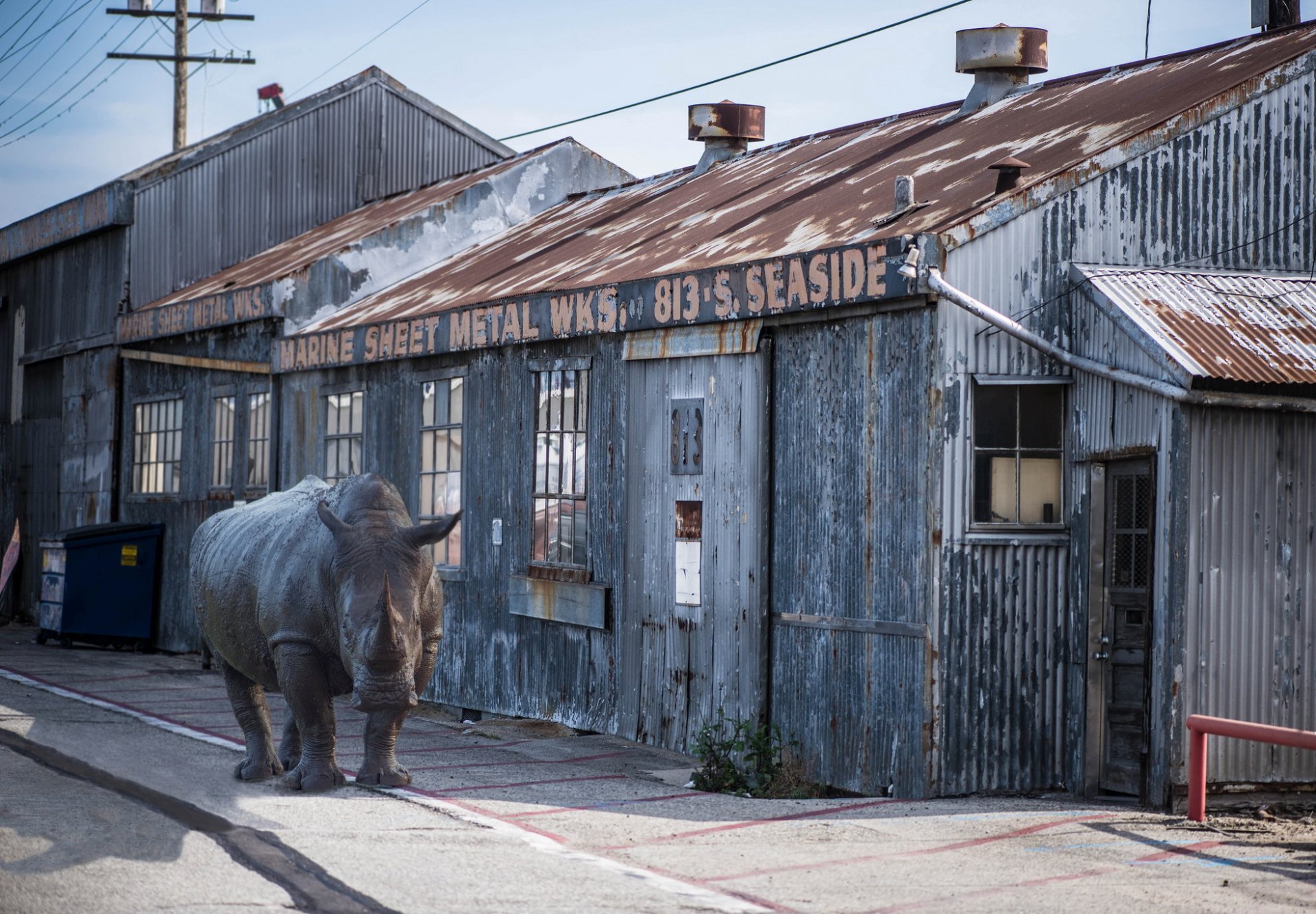 ville rue rhinocéros situation