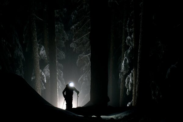 Bilder eines Mannes im dunklen Wald