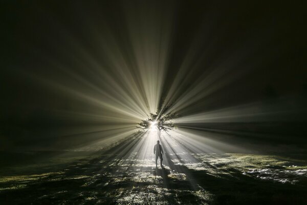 El campo luminoso por el que camina el hombre