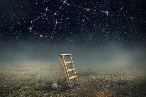 Stepladder in the field under the starry sky