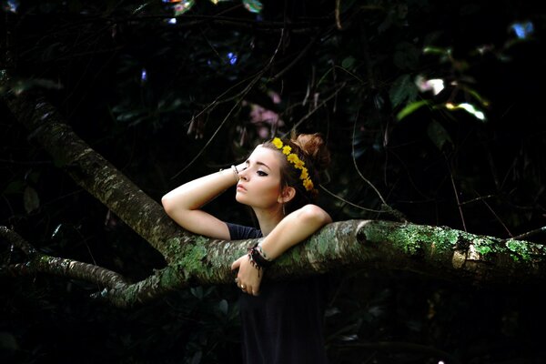 Forest beauty in a wreath