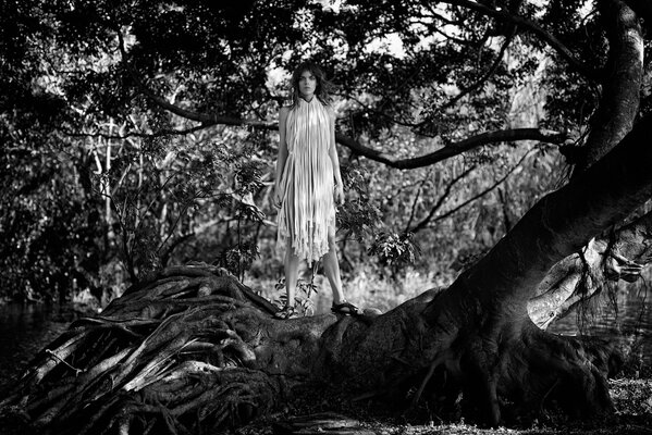 Séance photo sur les racines des arbres