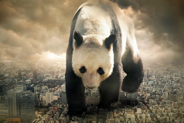 Immagine di un enorme panda che cammina per la città