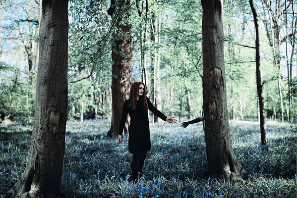 Photo session of a girl in black in the forest