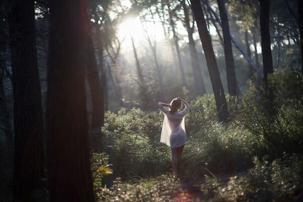 Les promenades sur le mildiou dans la forêt profonde