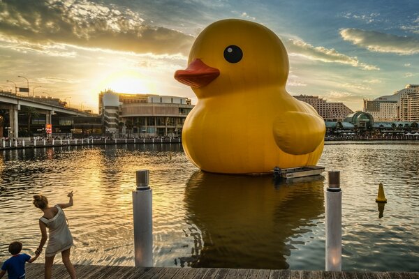 Grande anatra gialla sull acqua in città