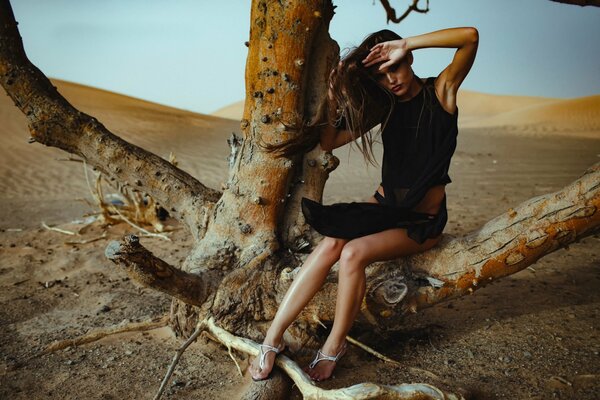 A model girl is sitting on a tree in the desert