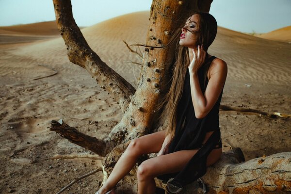 La fille avec les cheveux longs sur un arbre au désert